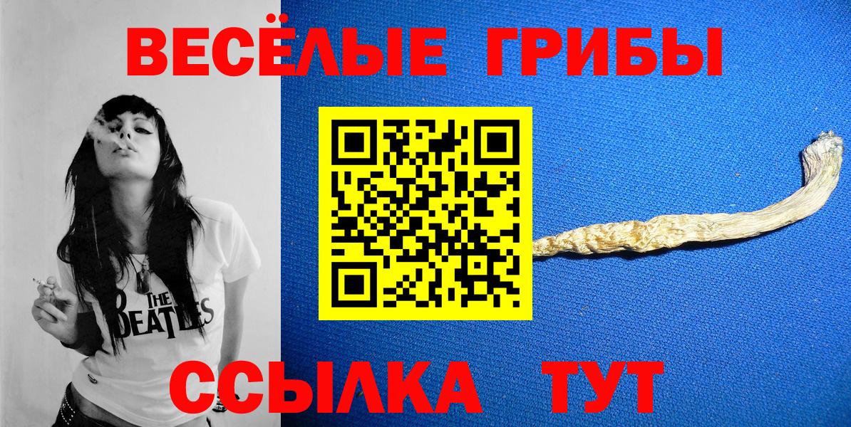 Галлюциногенные грибы MAGIC MUSHROOMS  Вход с VPN  Ейск 